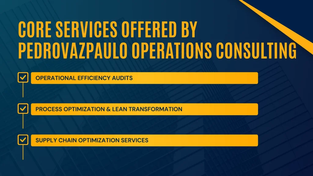 pedrovazpaulo-operations-consulting